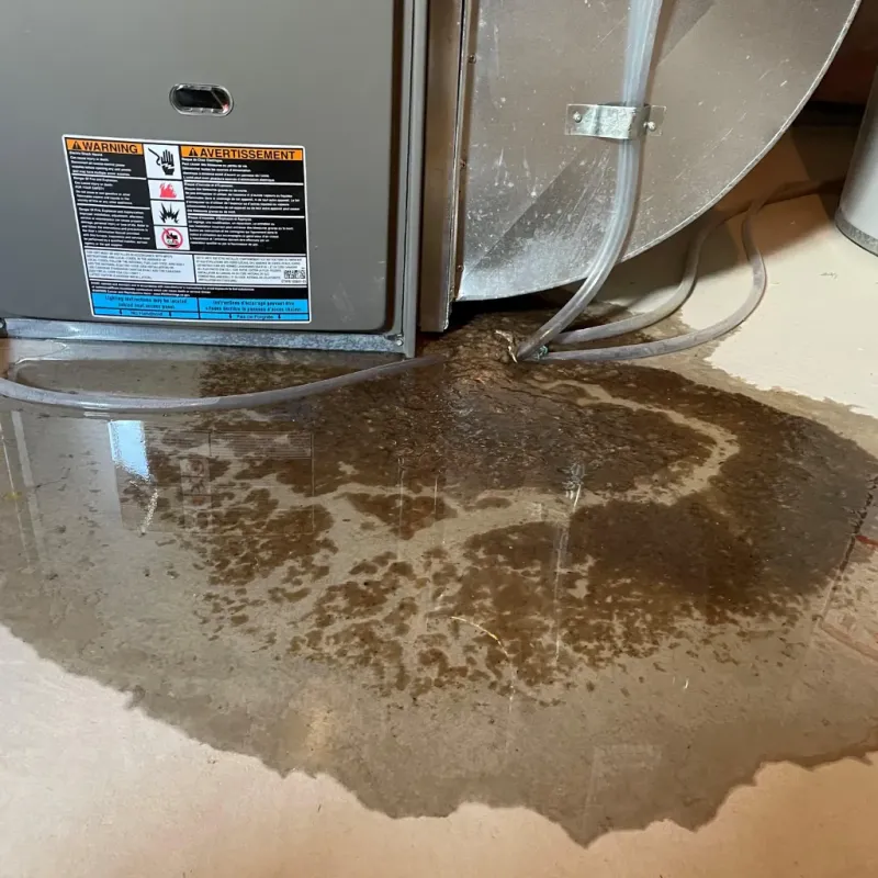 Appliance Leak Cleanup in Phil Campbell, AL